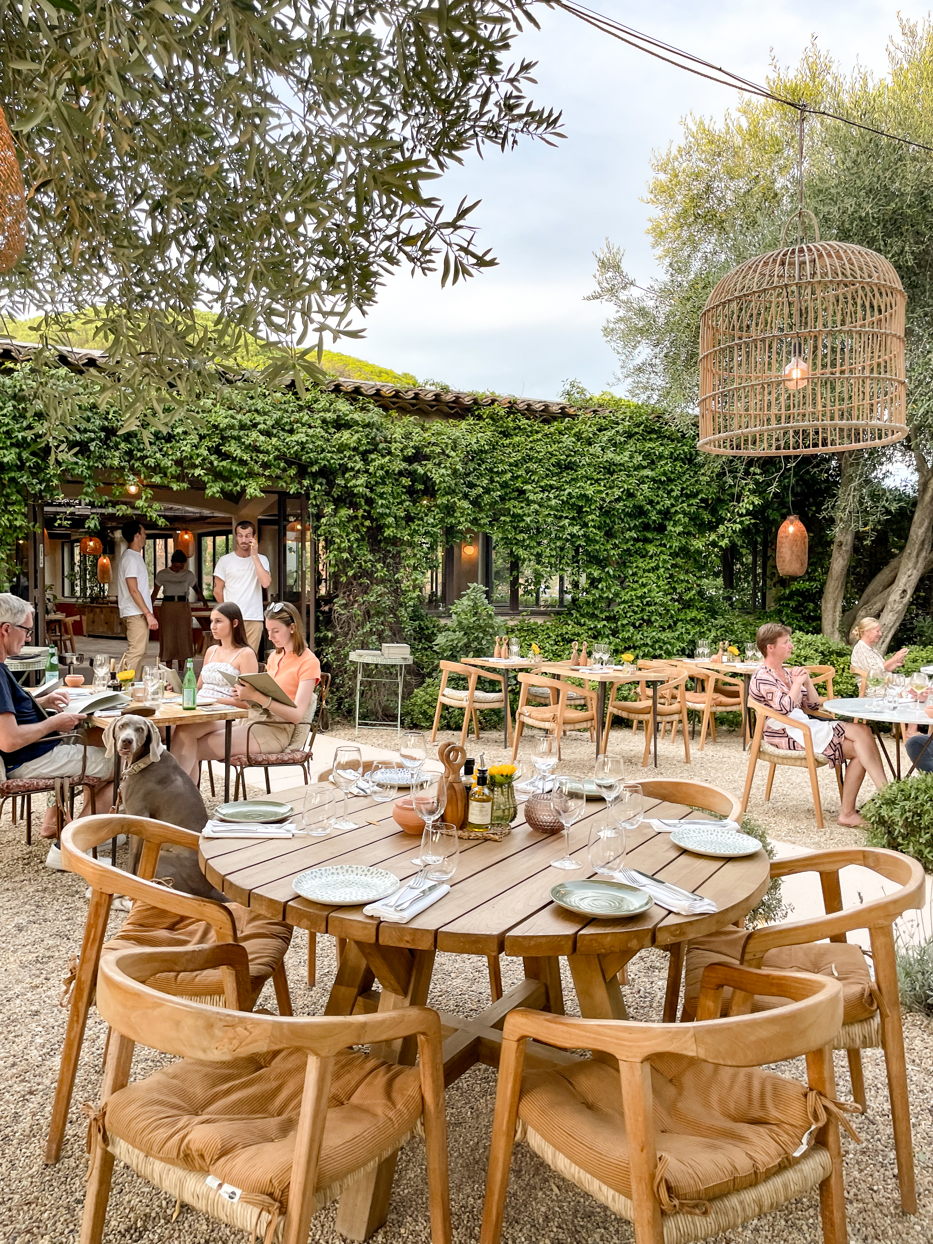Photo of a table in beautiful garden of Les Moulins restaurant in St. Tropez, France