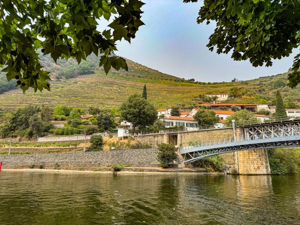 Photo of Douro River and quinta wineries in the background in Portugal