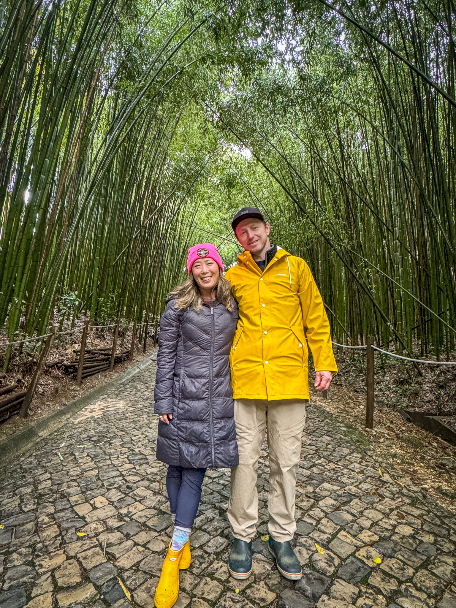 Bamboo Forest in Jardim Botanico in Coimbra, Portugal